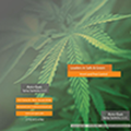 BioRational Vector Control Cannabis Brochure